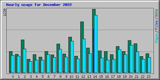 Hourly usage for December 2022